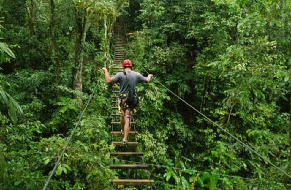 El 87% de los viajeros de todo el mundo quiere viajar de forma ecológica