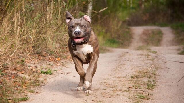 El hecho sucedió en Estados Unidos.