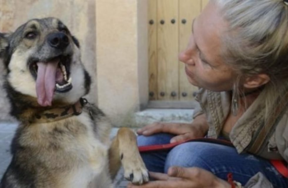 Rescatan a un perro que fue abusado por su dueño, que murió por una infección
