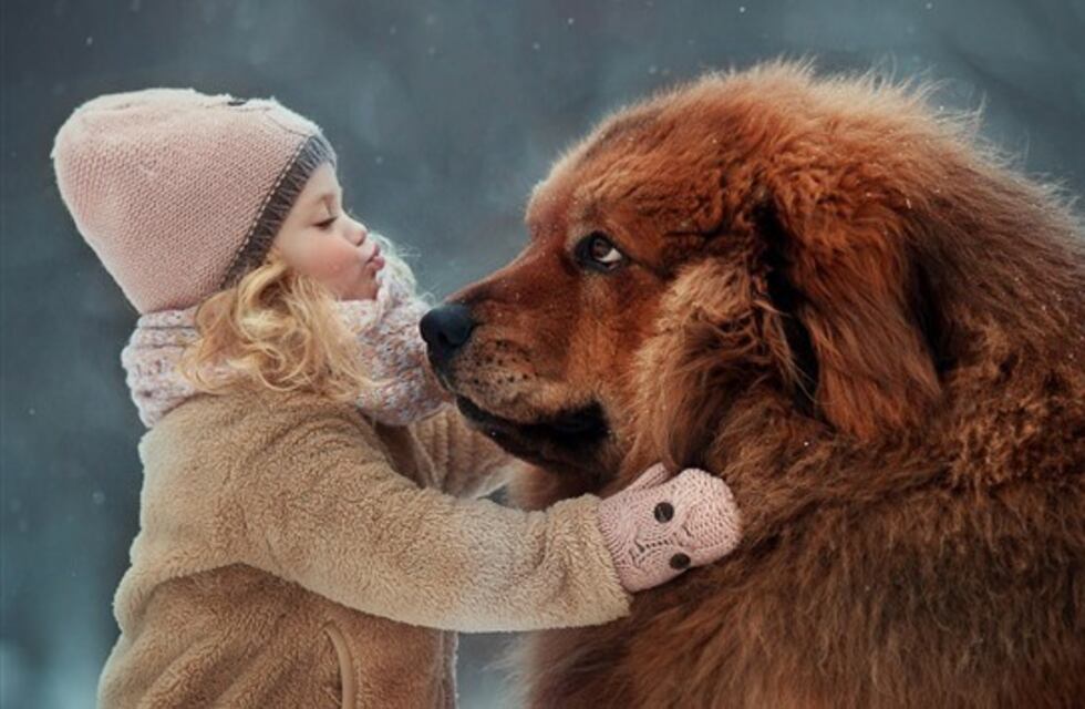 Filmó durante años cómo crecía su perro y lo mostró de una forma desopilante