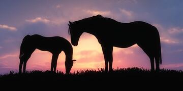 caballos (foto: pinterest)