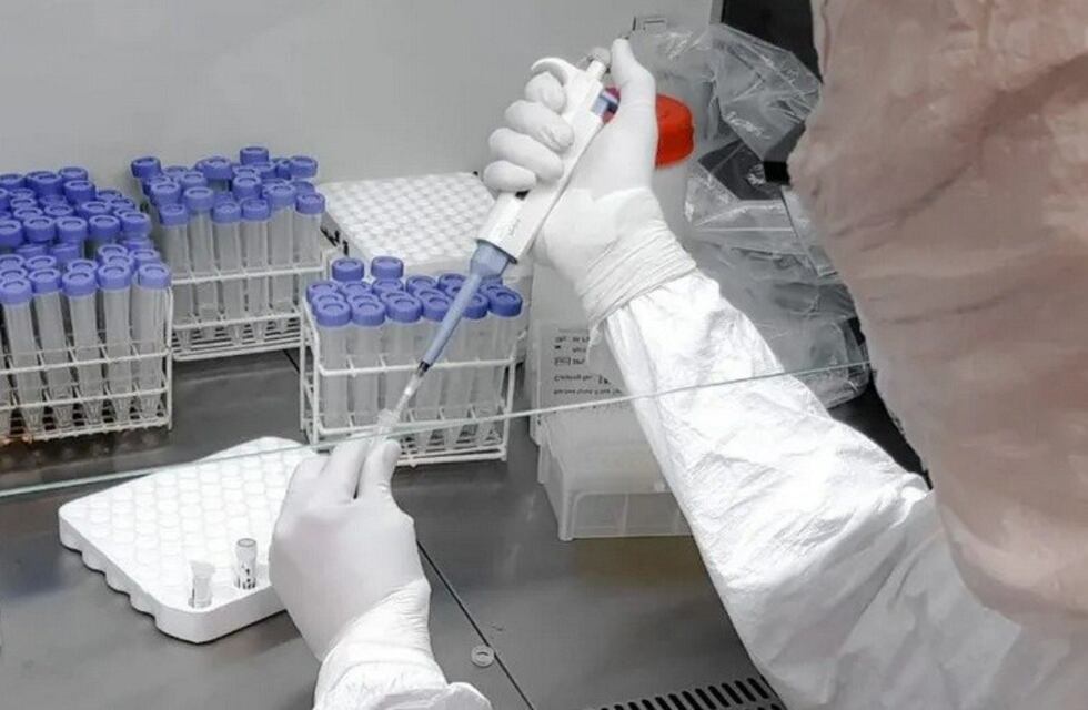 Coronavirus: en San Juan harán hasta un 30% más de test por prevención