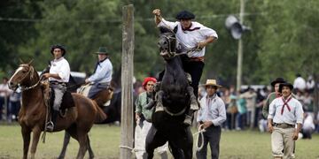 AA man rides a horse at a rodeo exhibition during the Tradition Day in San Antonio de Areco, Argentina, Sunday, Nov\u002E 11, 2012\u002E The tradition day annually celebrated in San Antonio de Areco, Province of Buenos Aires, marks the birthday of Argentine writer Jose Hernandez, author of Argentina's national poem \