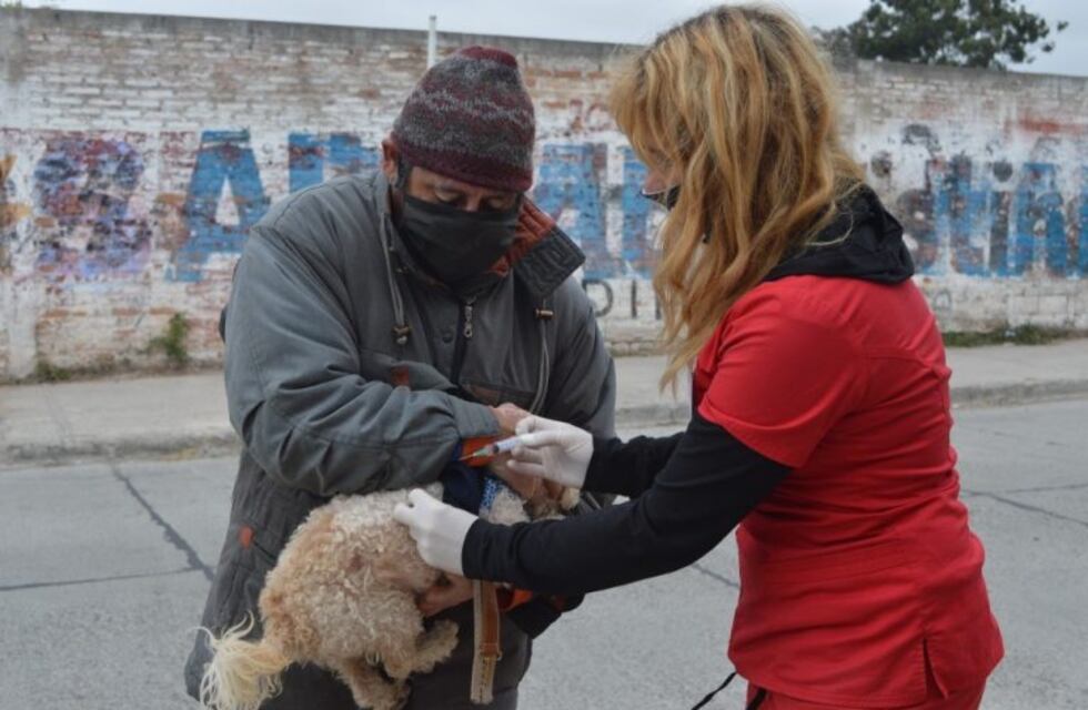 Las jornadas de vacunación antirrábica en los barrios se suspenden durante esta semana
