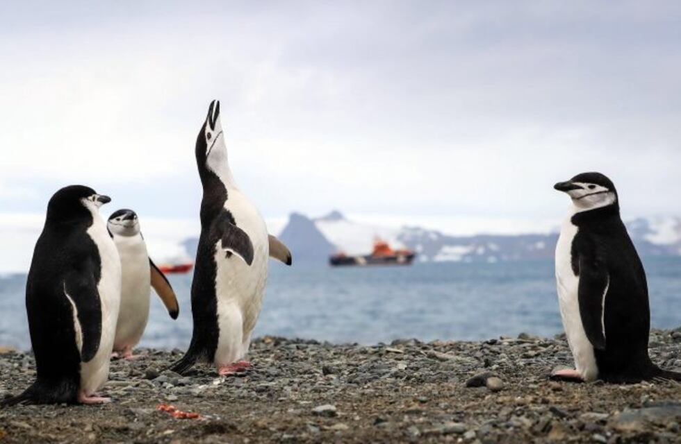 Turismo interno: cuáles son los lugares más lindos para visitar de Tierra del Fuego
