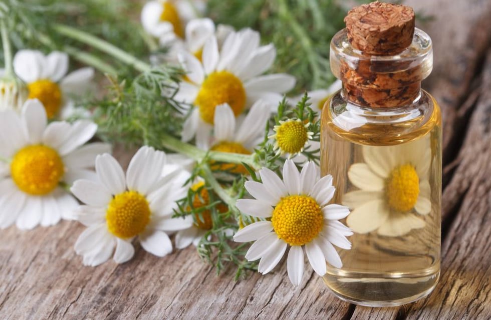 Así se puede preparar un repelente natural que ayuda a proteger a tus flores de insectos