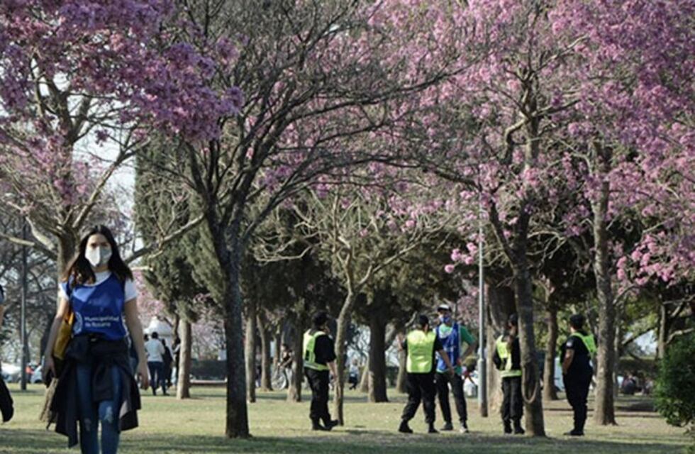 El clima en Córdoba: cómo estará el tiempo esta semana
