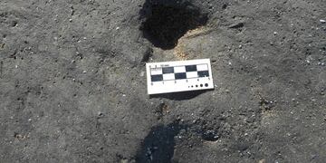 Encontraron huellas fósiles en Miramar