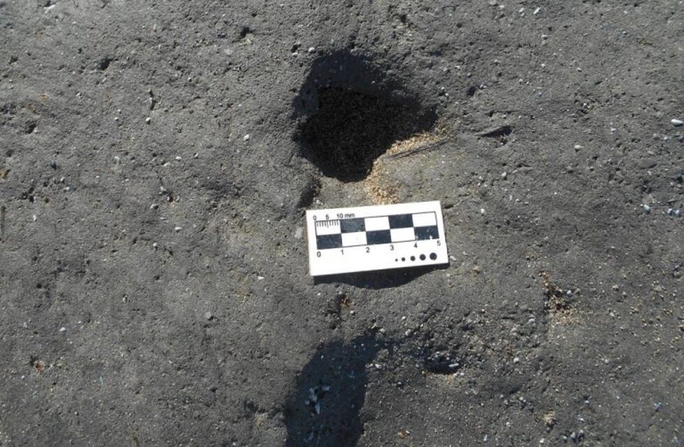 Encontraron huellas fósiles en Miramar