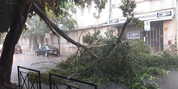 La gran cantidad de agua generó inconvenientes en la ciudad de Rosario\u002E (Pablo Matas)