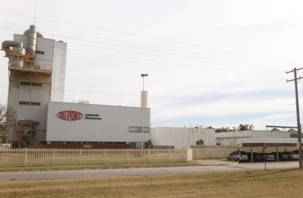 Dupont plantará 60 árboles en el Barrio Don Pablo