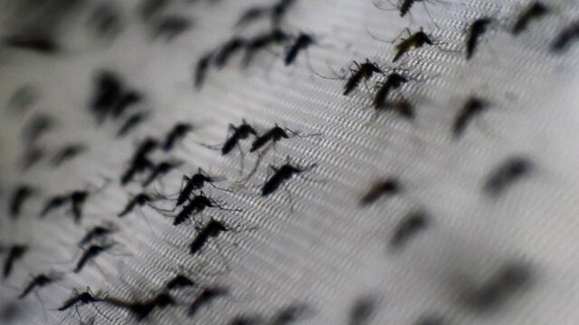 Dengue en Córdoba