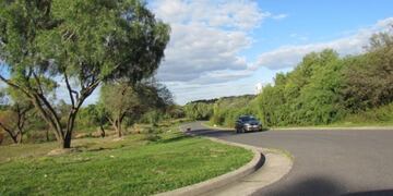 Tras gallos muertos: realizaron un supuesto \