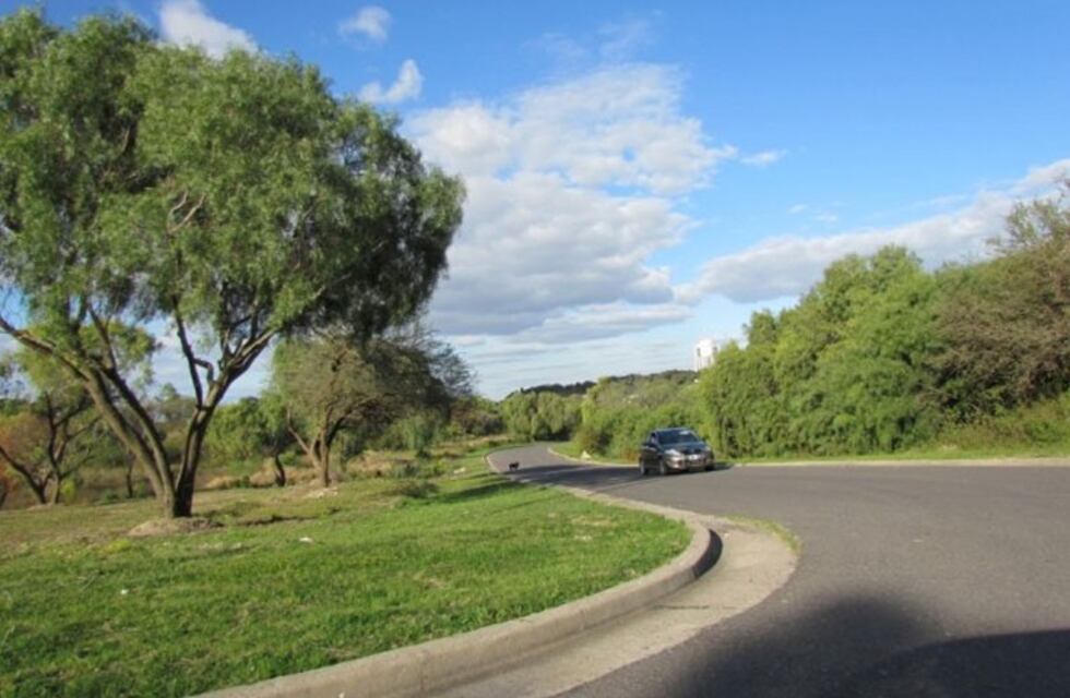 Tres gallos muertos: realizaron un supuesto "ritual satánico" en la zona del Parque Nuevo de Paraná