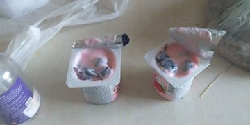 Insólito: intentó ingresar droga oculta en potes de yogur a una comisaría\u002E (SECPT)