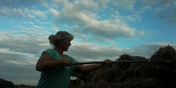 Cuarentena en el campo