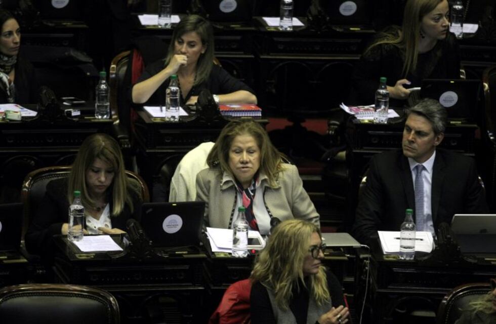 El Frente Renovador exigió que Díaz Gilligan declare ante la Justicia y no ante la OA