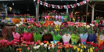 Producción de flores\u002E imagen ilustrativa\u002E