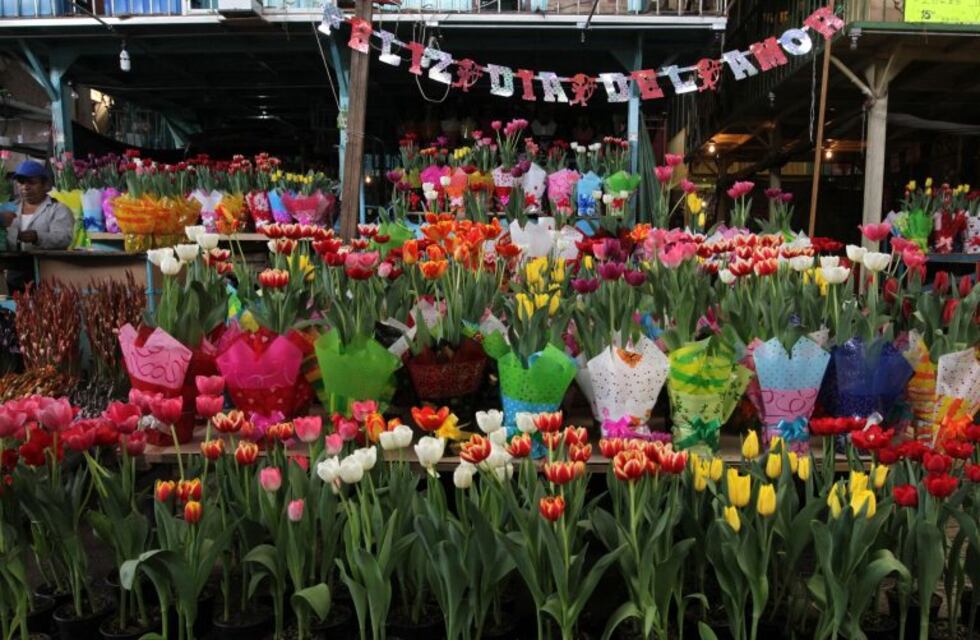Estudian líneas de financiamiento y logística para los floricultores