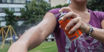 Se informaron los últimos datos en torno al avance del dengue en la provincia de Santa Fe\u002E (Archivo)