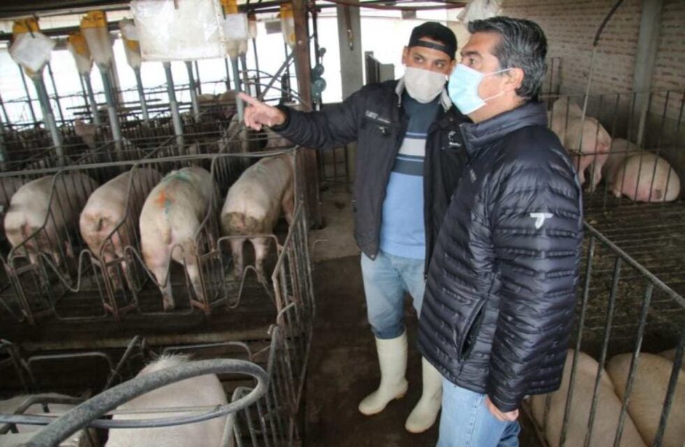 Chaco instalará tres granjas porcinas en su territorio con capitales chinos