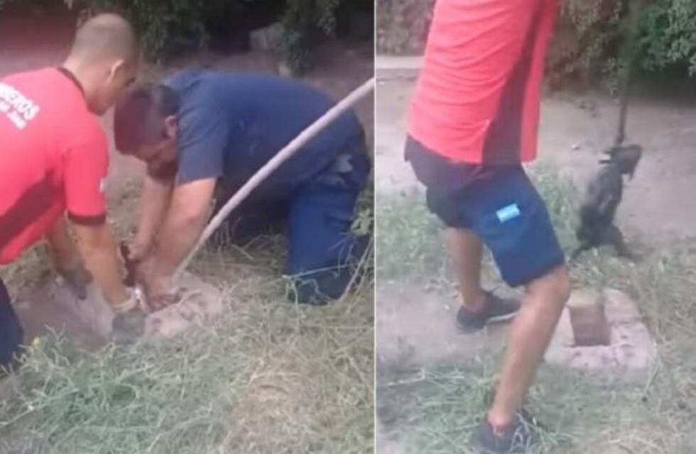 Impresionante: así rescataron a tres cachorritos de un pozo en San Juan
