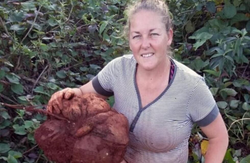 Cosecharon batatas de 15 kilos en Colonia Yapeyú