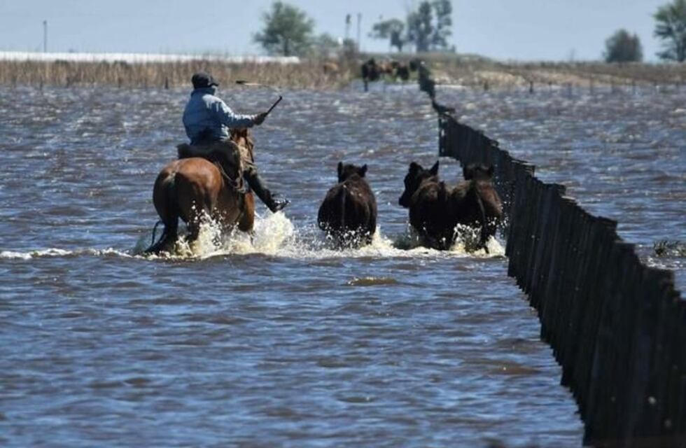 Por la inundación, en General Villegas se redujo la siembra de soja, maíz y trigo y cerraron 58 tambos
