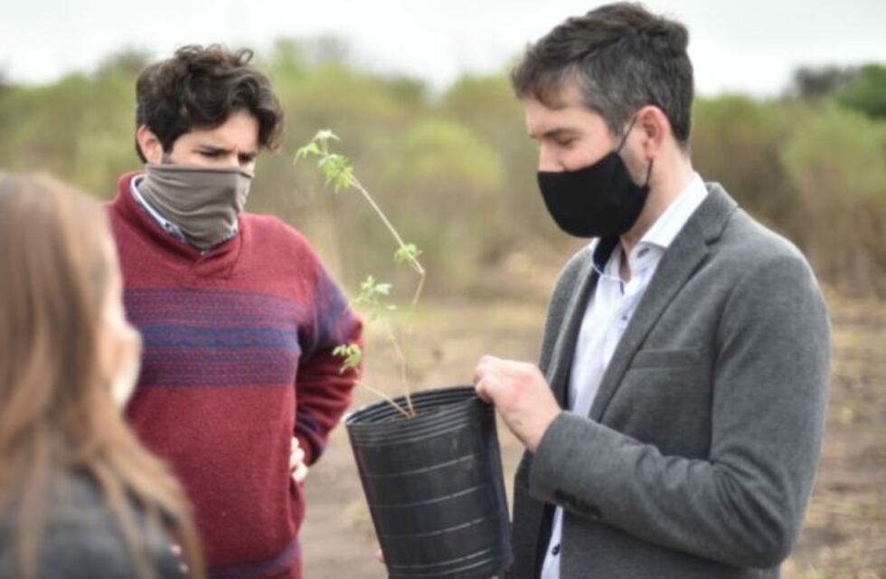 Invitan a elegir "El árbol entrerriano"