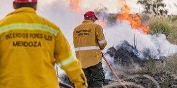 En Mendoza habrá multas millonarias y quita de subsidios a quienes generen incendios intencionales\u002E