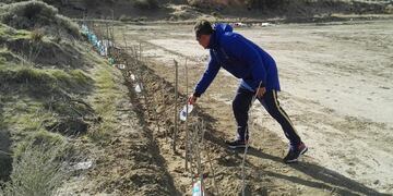 En la semana del árbol Estudiantes plantó las primeras estacas en su predio
