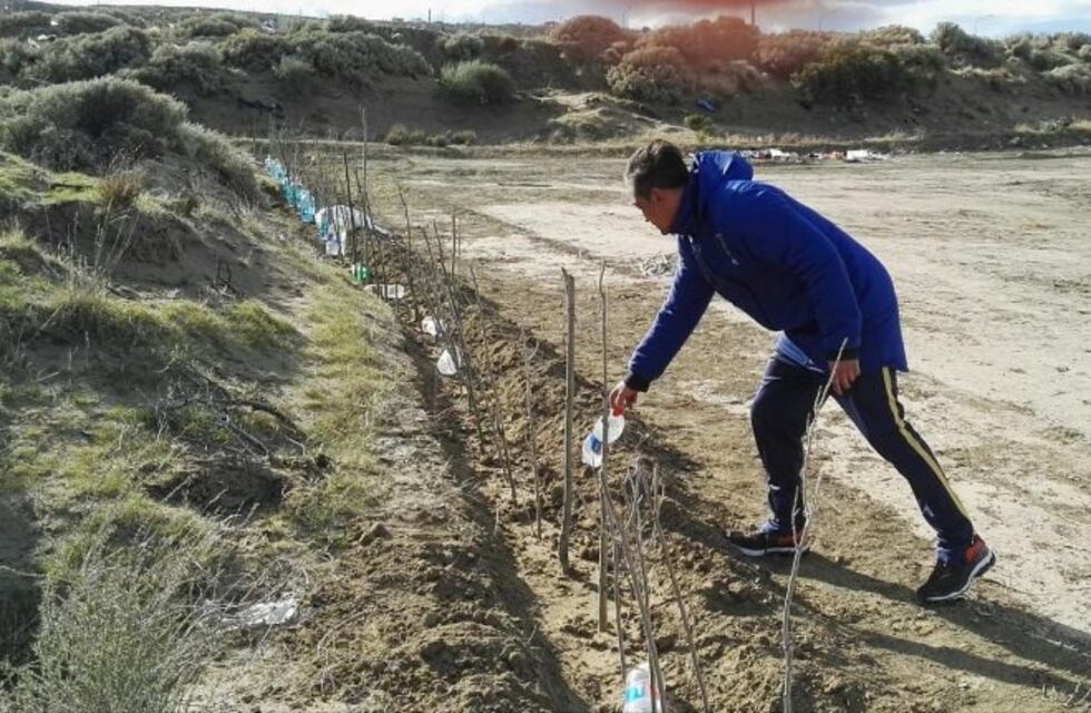 En la semana del árbol Estudiantes plantó las primeras estacas en su predio