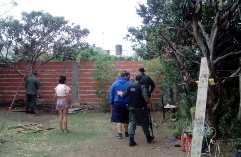 Insólito: fueron a frenar una pelea en una casa y secuestraron marihuana en el patio