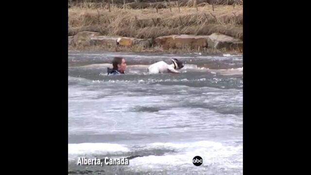 Rescate Perro Hielo Canada