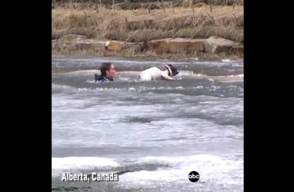 El increíble rescate de un hombre a su perro en medio del hielo