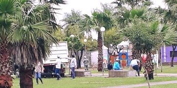 Caballo rozo un poste de luz en una plaza y murió electrocutado