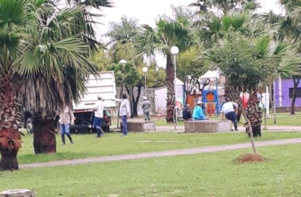 Caballo rozo un poste de luz en una plaza y murió electrocutado