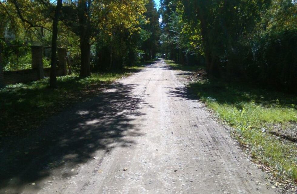 Anisacate: armaron grupo de Whatsapp para alertar sobre robos