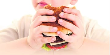 Presentaron un plan nacional para frenar la \