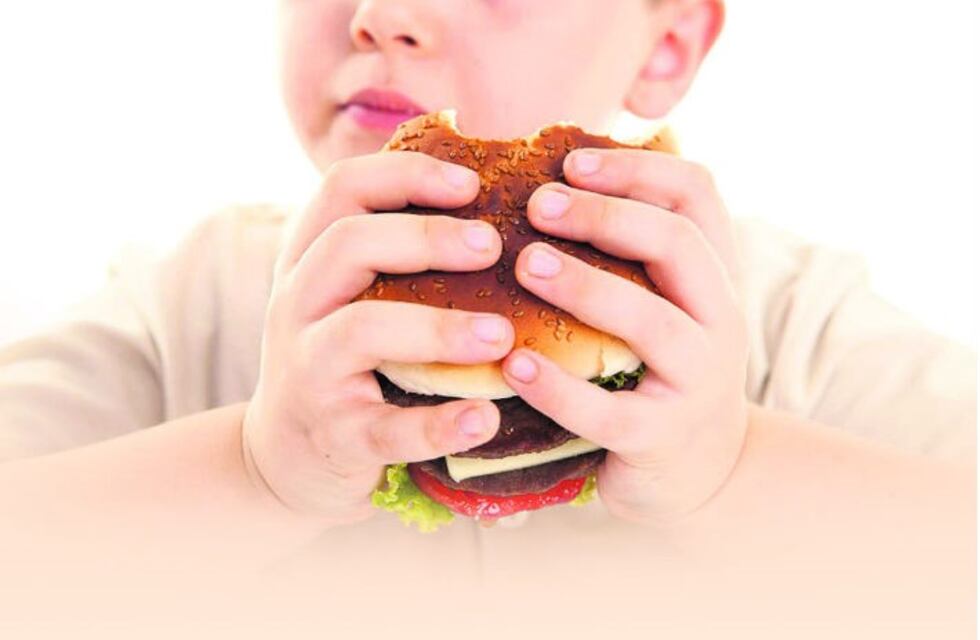 Investigación cordobesa: la comida "chatarra" provoca sobrepeso hereditario