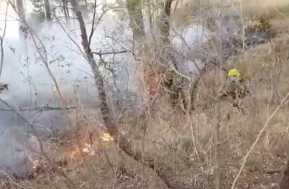 Sofocaron un incendio en el Cerro San Bernardo