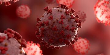 Covid-19 en La Rioja: Dos fallecimientos y cinco nuevos contagios en 24 horas