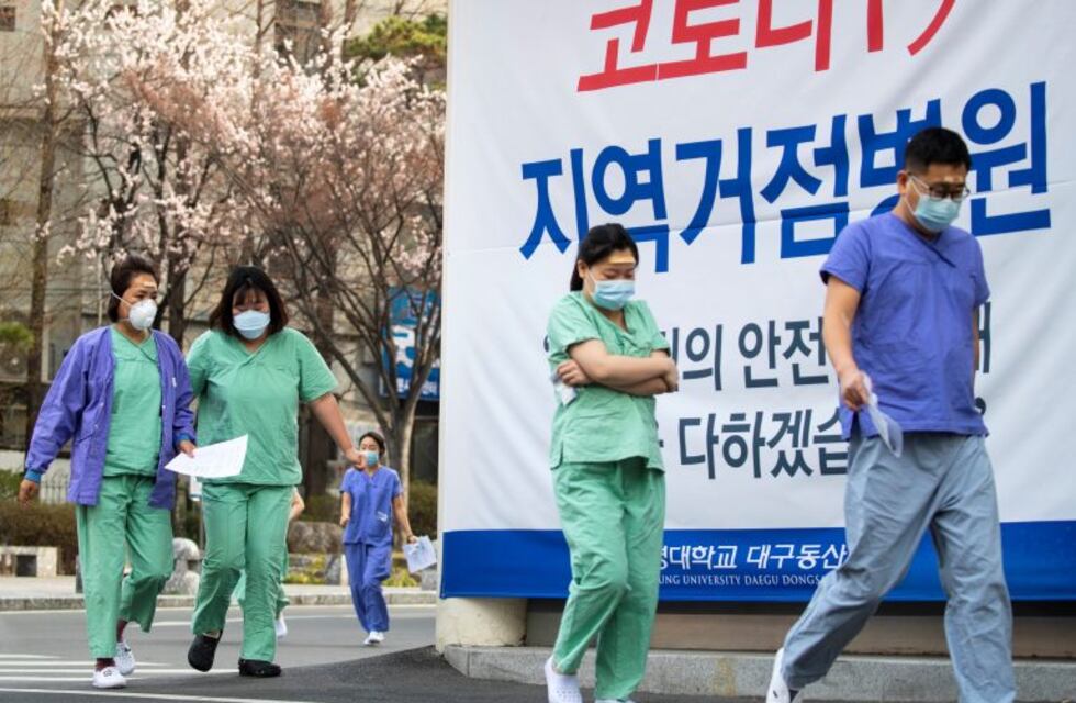 Seúl detectó un gato con Covid-19 con el sistema pionero de test a mascotas