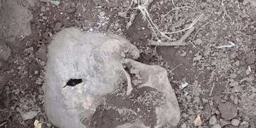 Restos óseos en San Luis