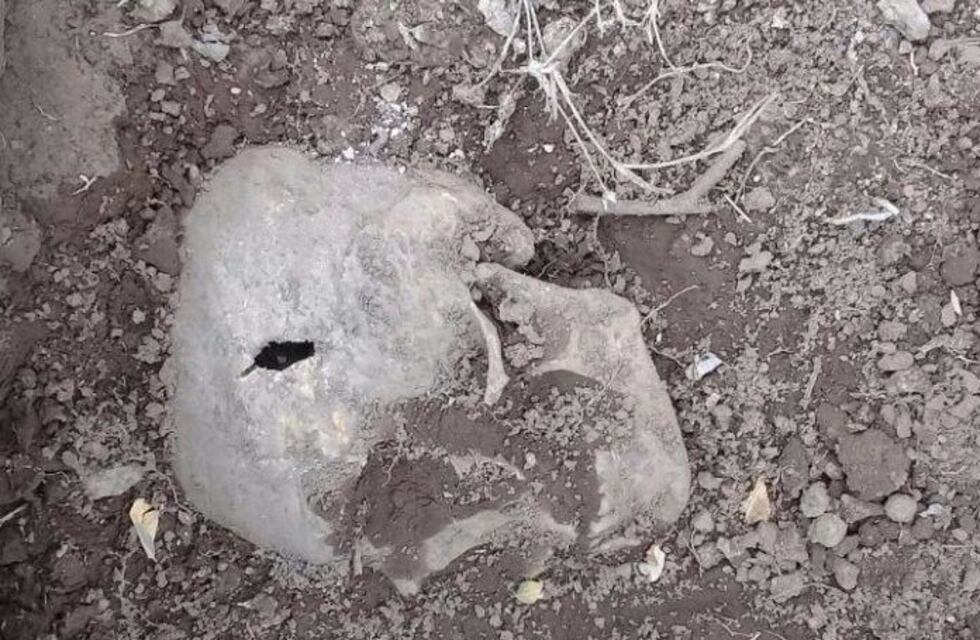 Encontraron restos óseos cerca de Terrazas del Portezuelo