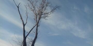 Maravilloso cielo en la ciudad de Rafaela (Vía Rafaela)