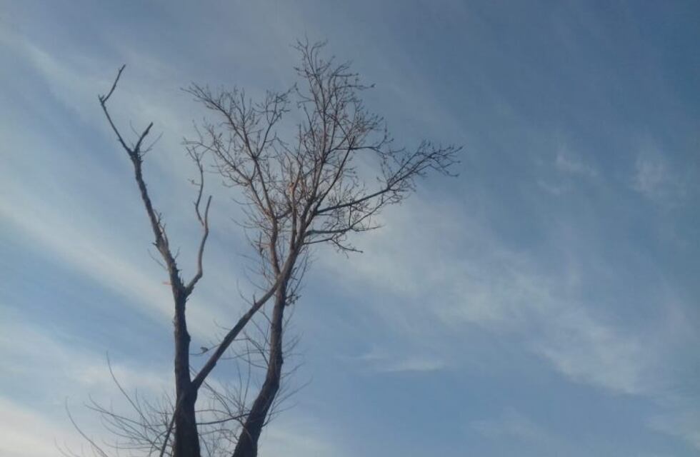 Mañana fresca, pero una tarde calurosa