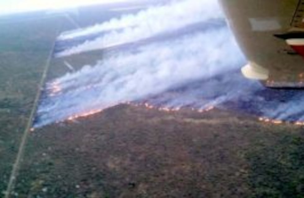 El incendio forestal en General Alvear ya quemó 35 mil hectáreas