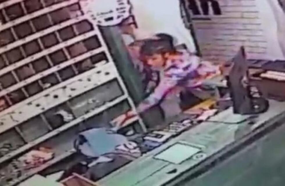 Una ex policía con arresto domiciliario le puso la tobillera a su perro y salió a robar