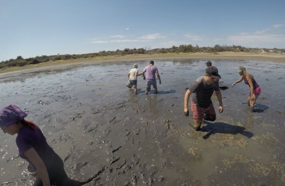 Emergencia: voluntarios rescatan peces con baldes en el Dique EL Carrizal